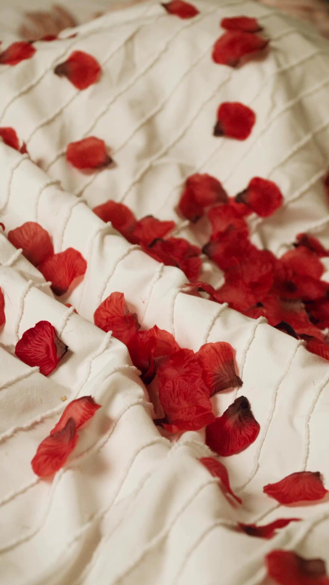 Entlaufener Milliardär Mein Bräutigam