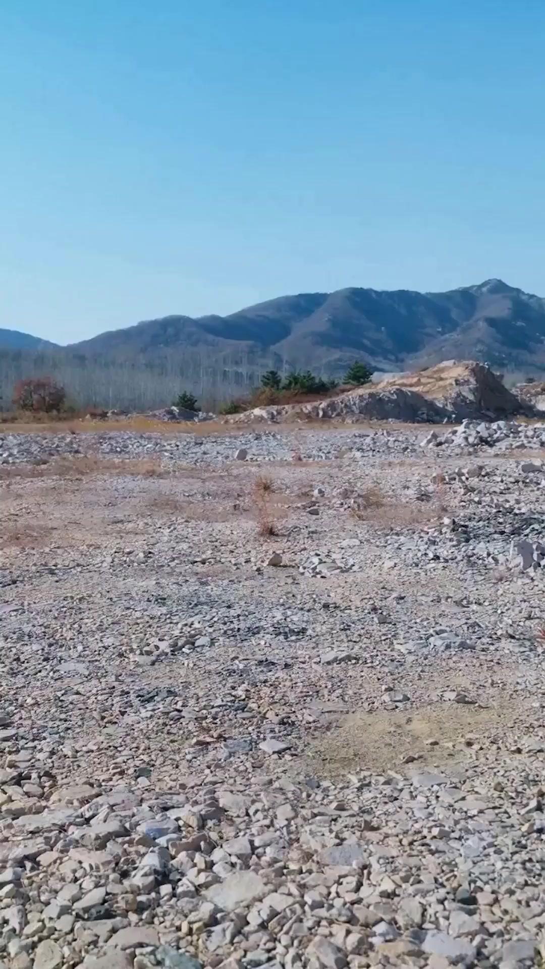 (Synchro) Der verborgene Wolfskönig: Vom Halbblut zur Legende