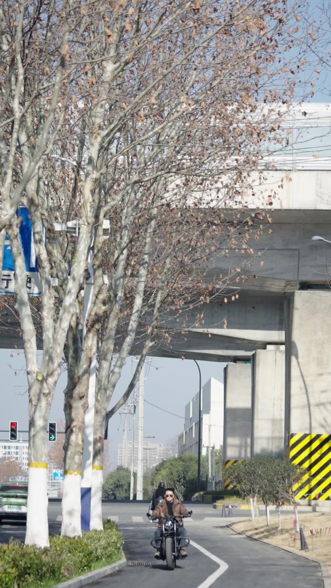 Keponakan Pembawa Harapan