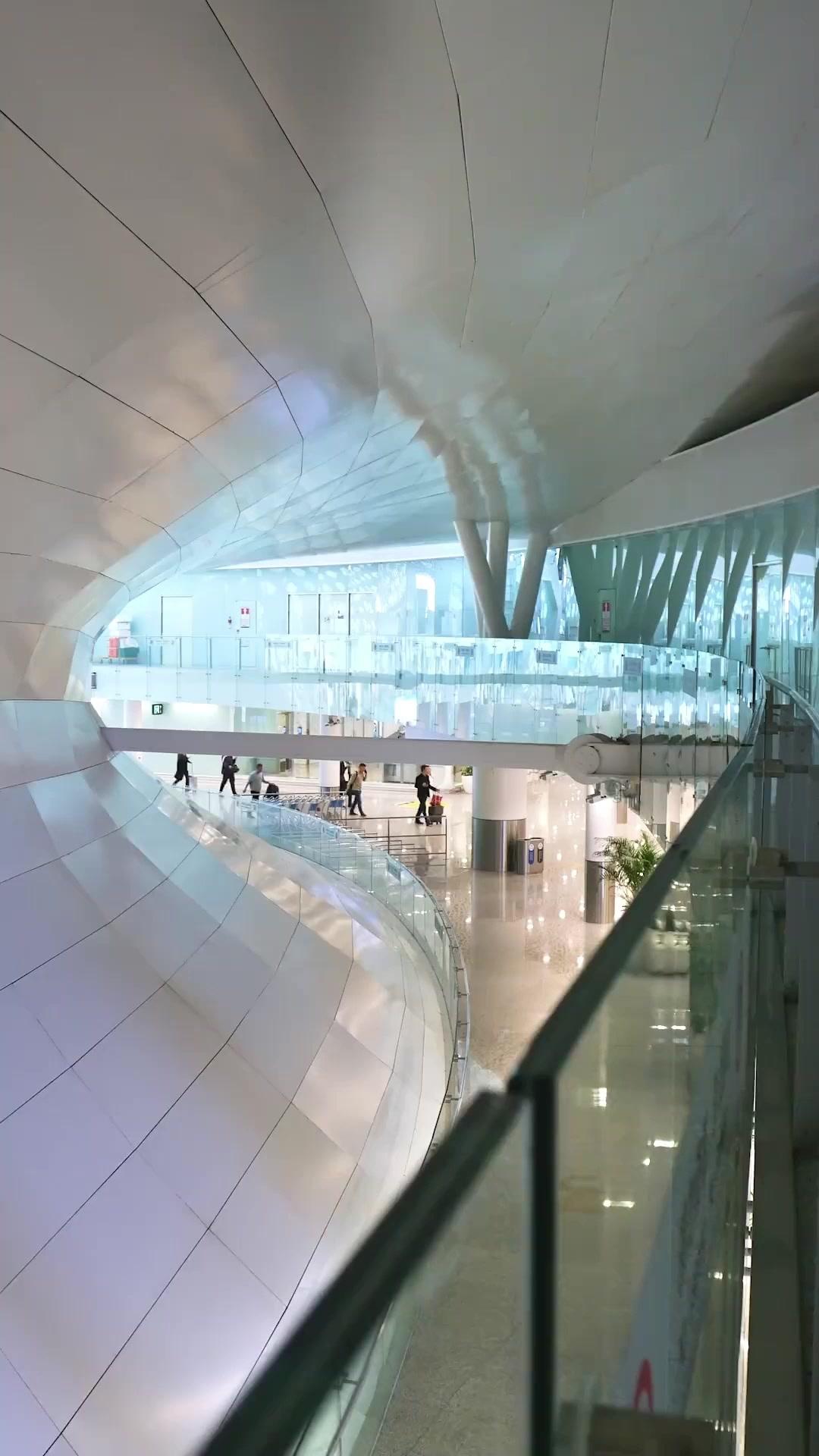 Quem Vai Curar o Sr. Ricardo? Sou Eu!