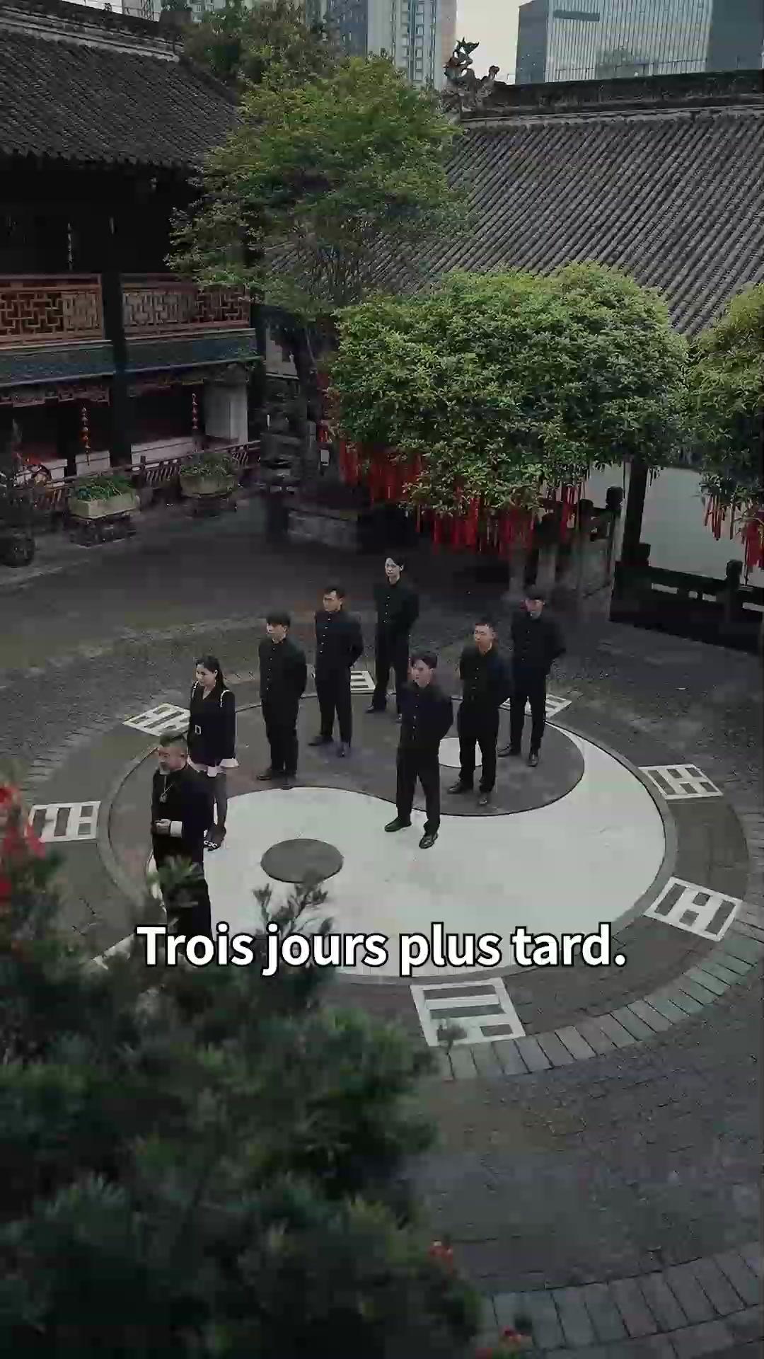 (Doublage)L'ÂME DES ARTS MARTIAUX DU DACIA