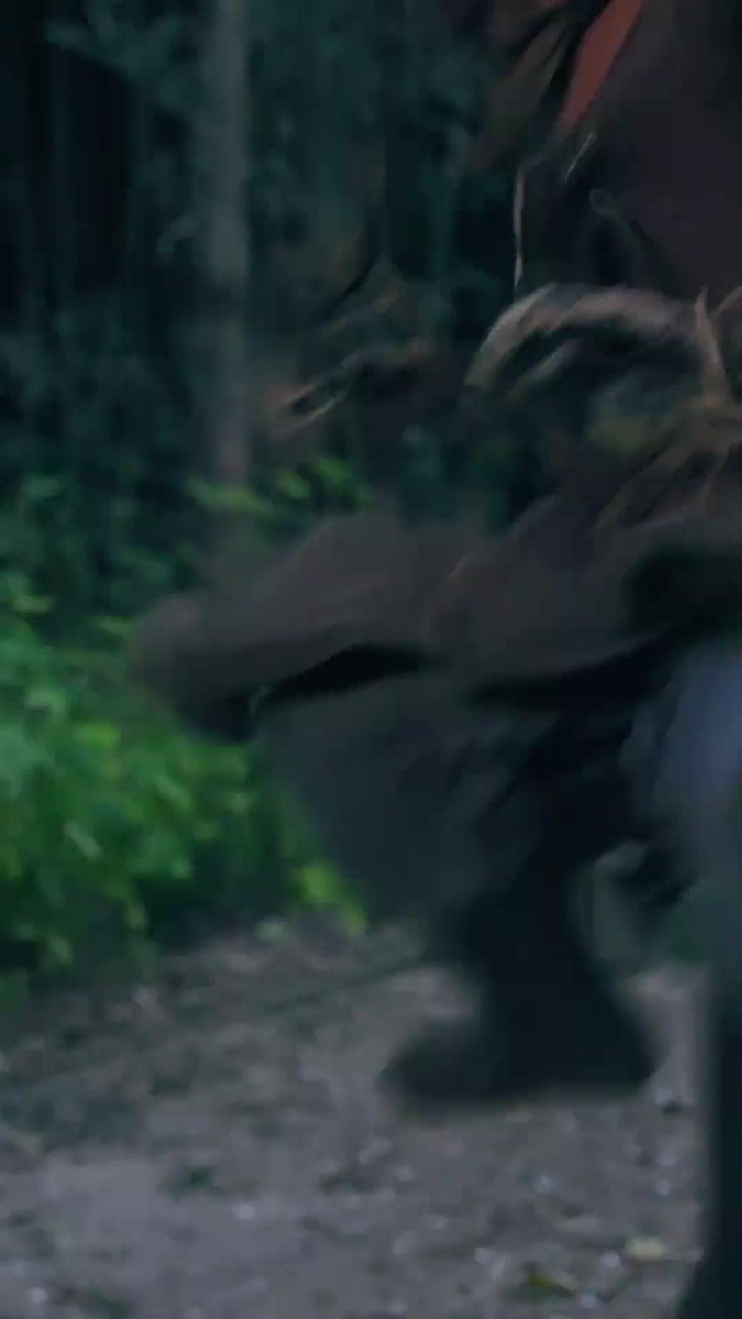 القلب وراء القناع