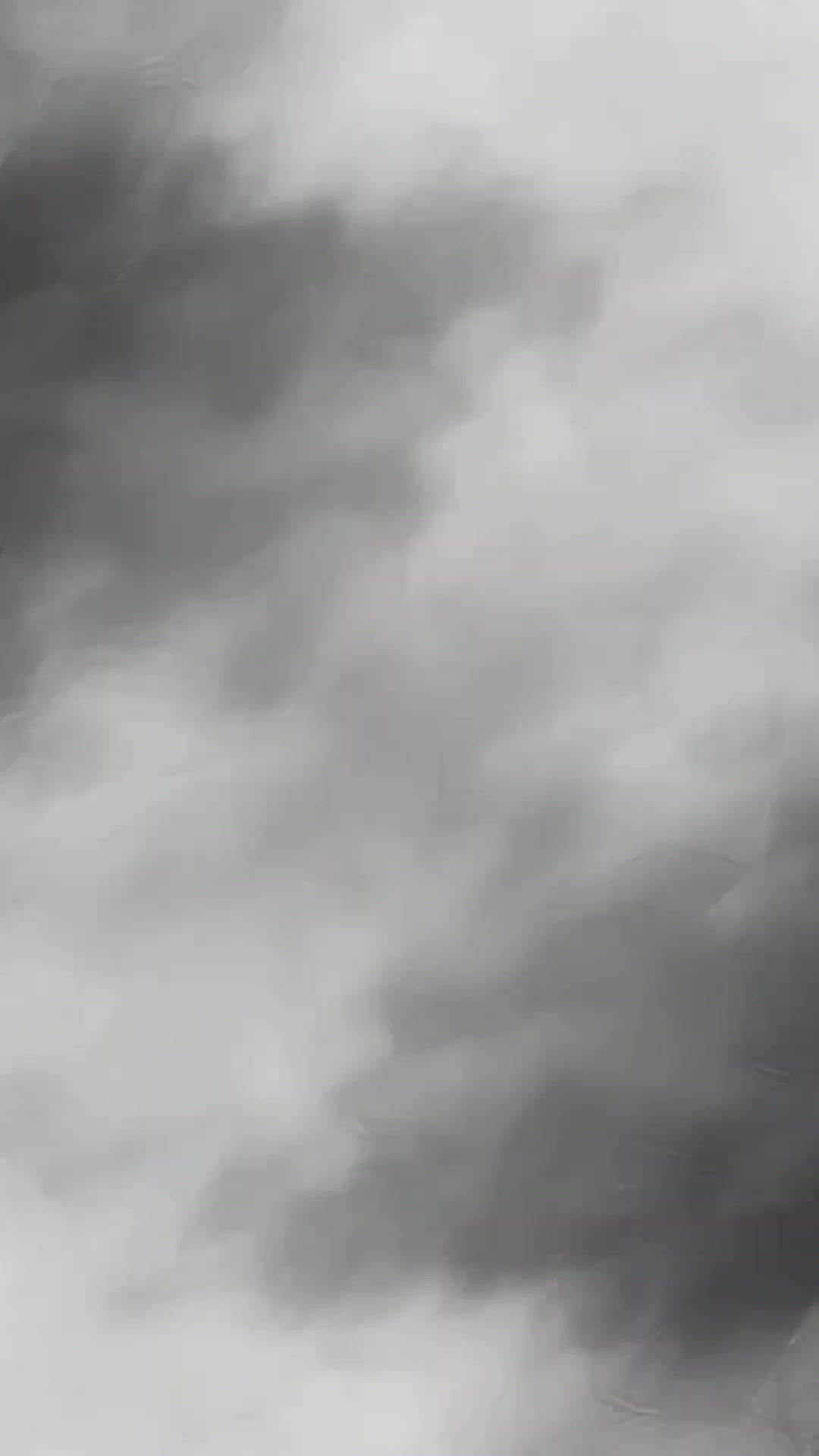 Treasury Queen Returns