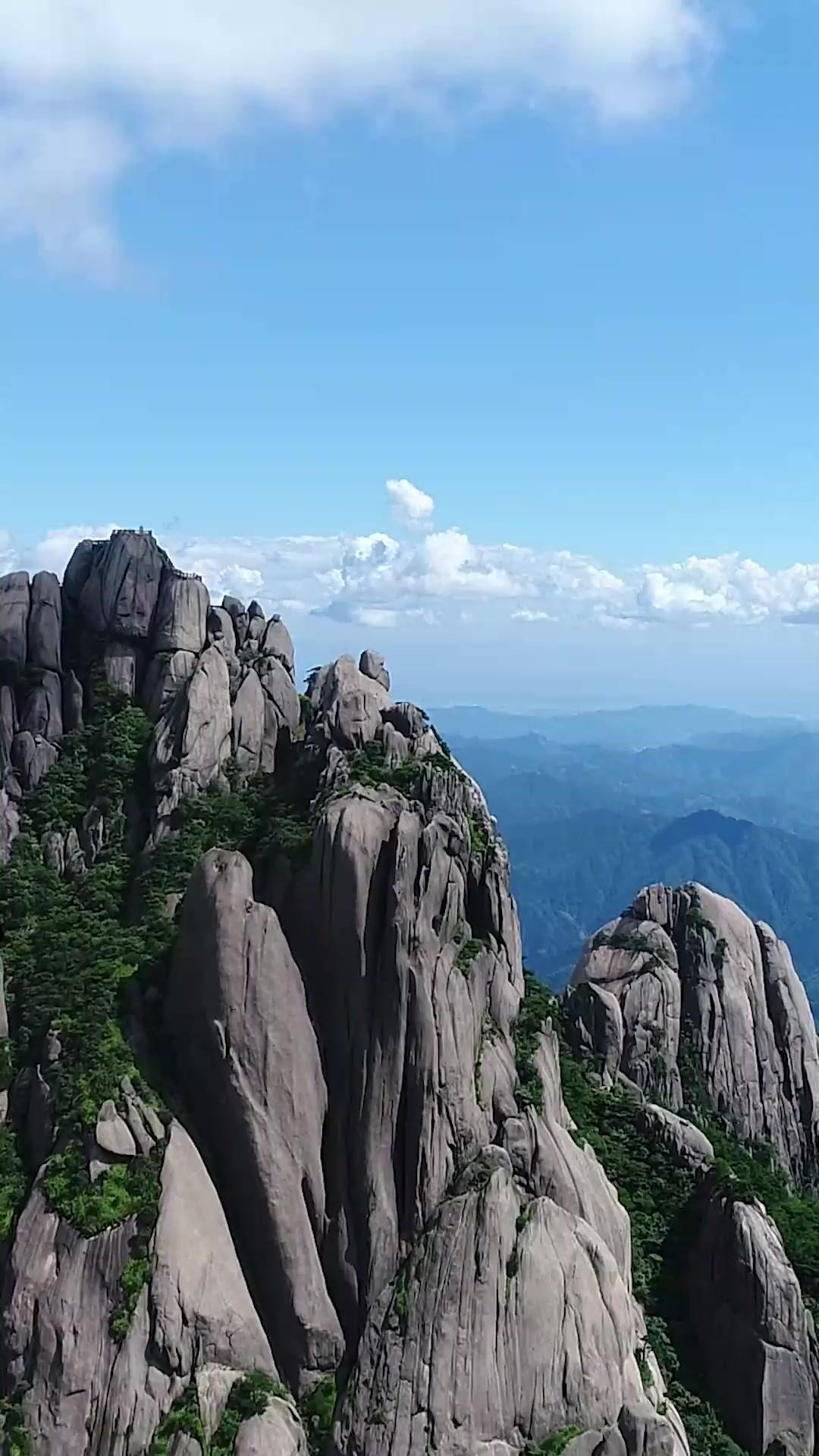 (Doblado)Honor bajo la sombra