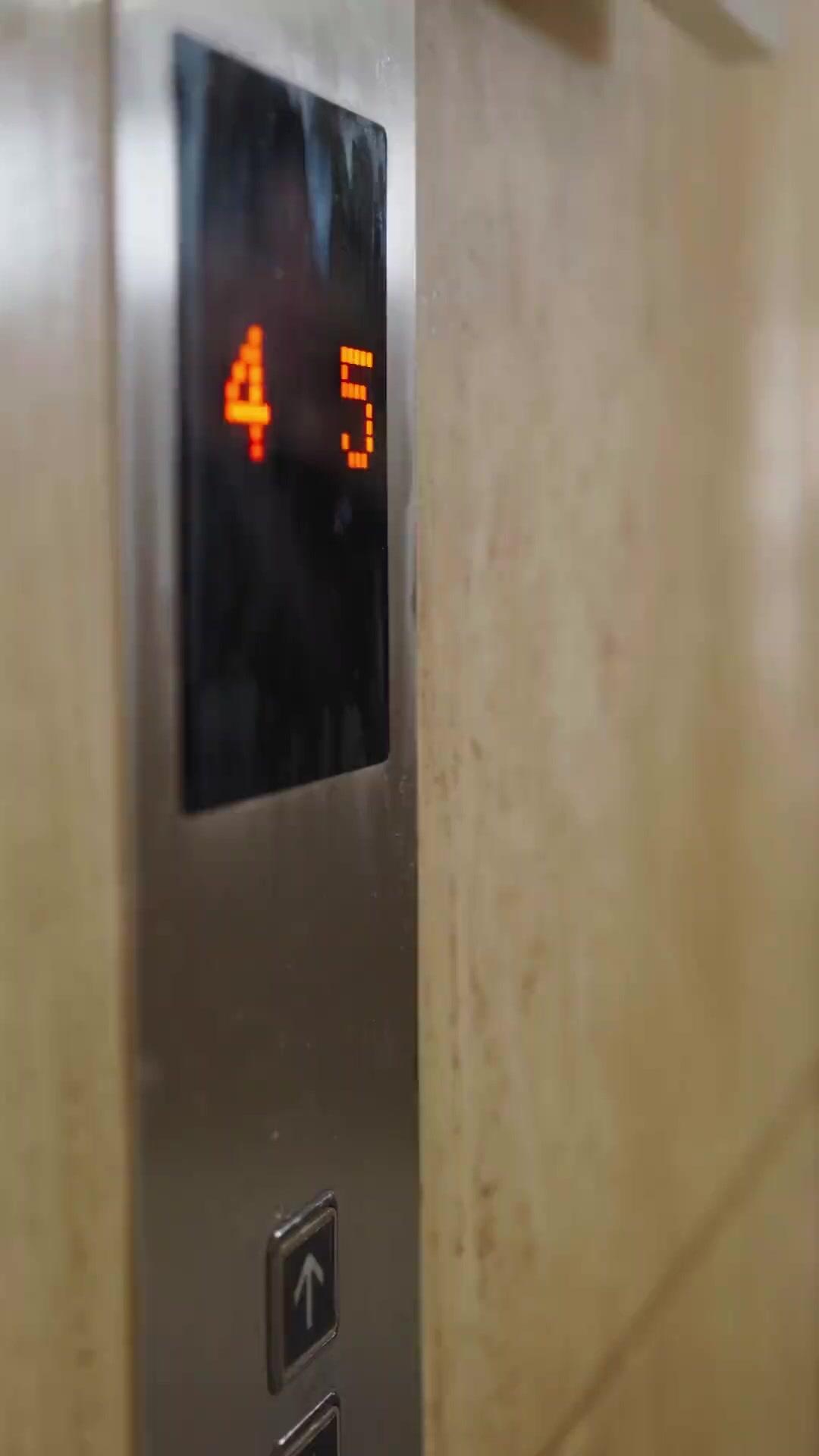 Touch My Parents? Try Me!