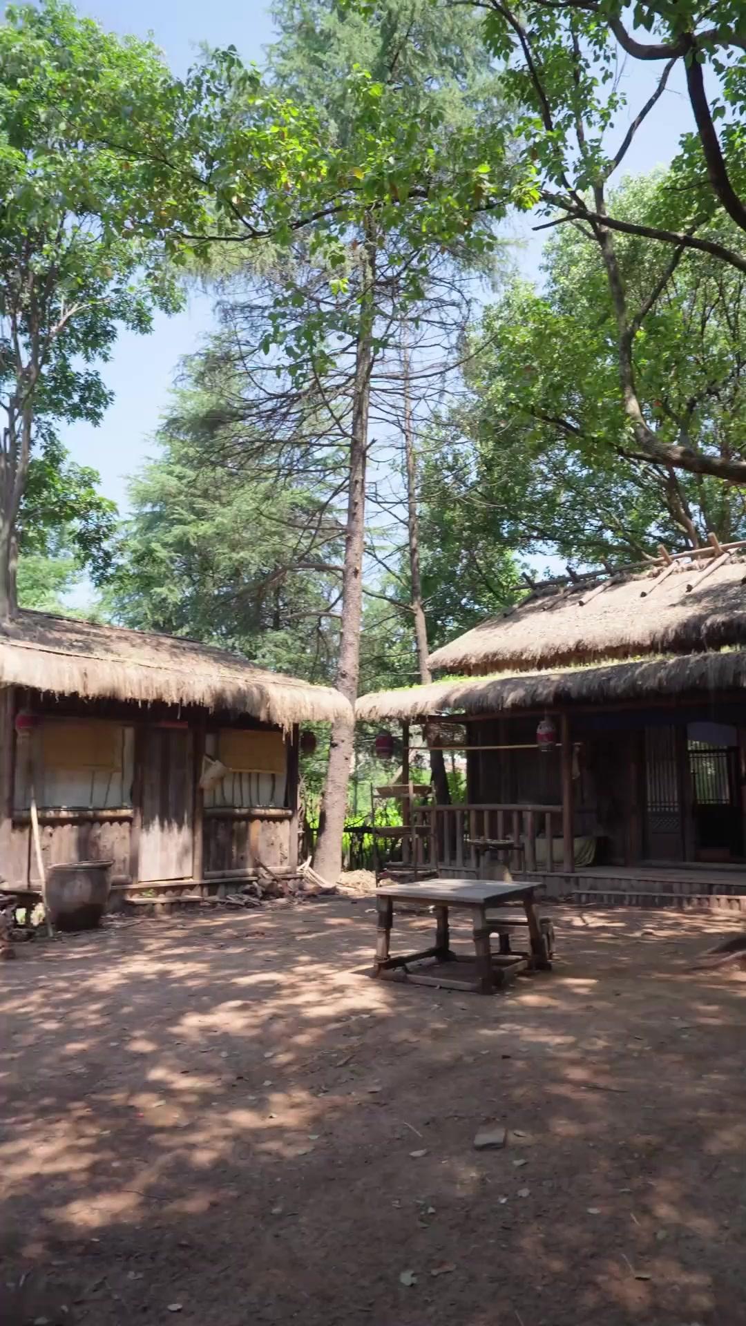 Chị Em Làm Giàu Thời Loạn