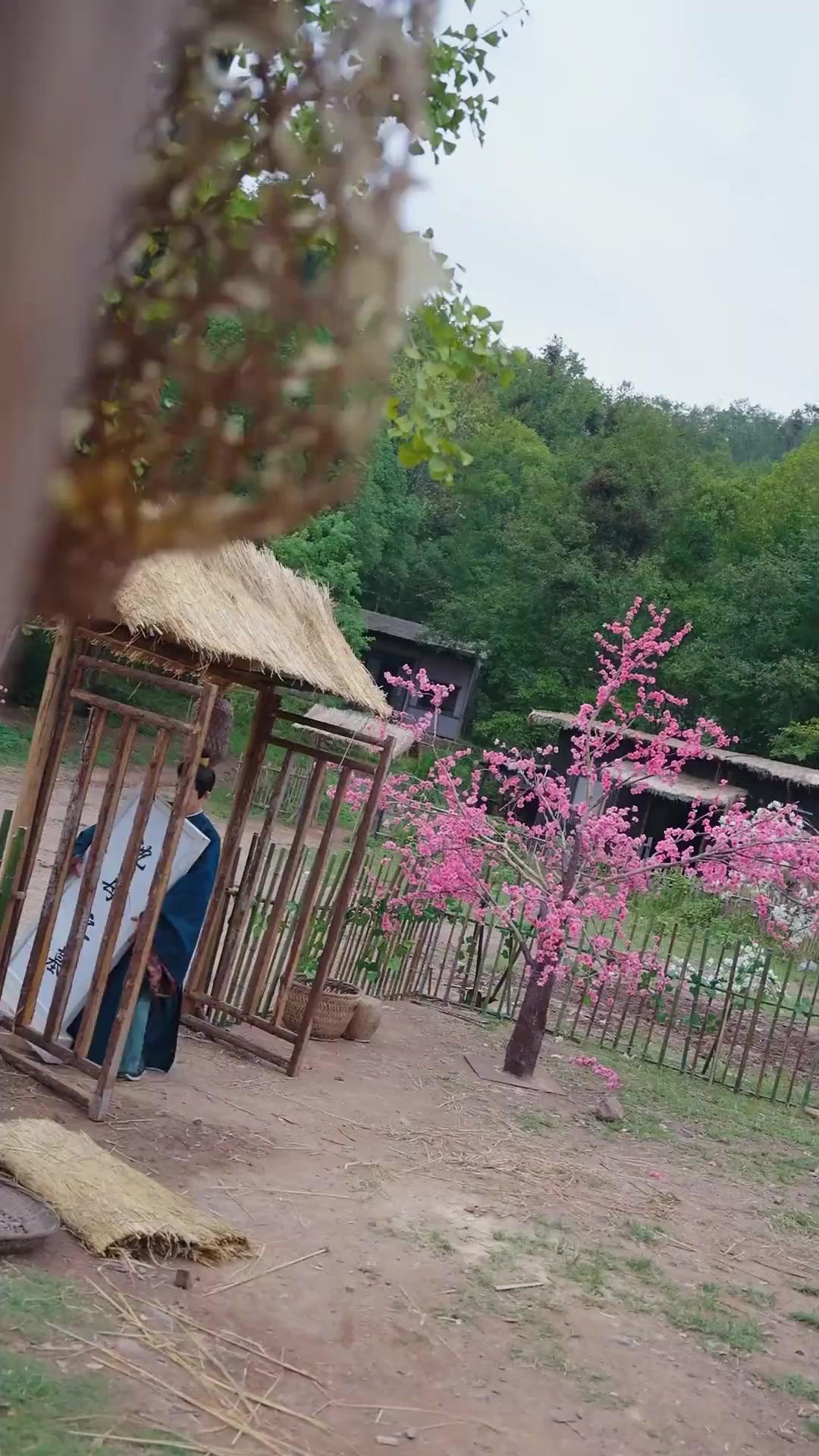 （國語）燕歸樓裡鳳還巢