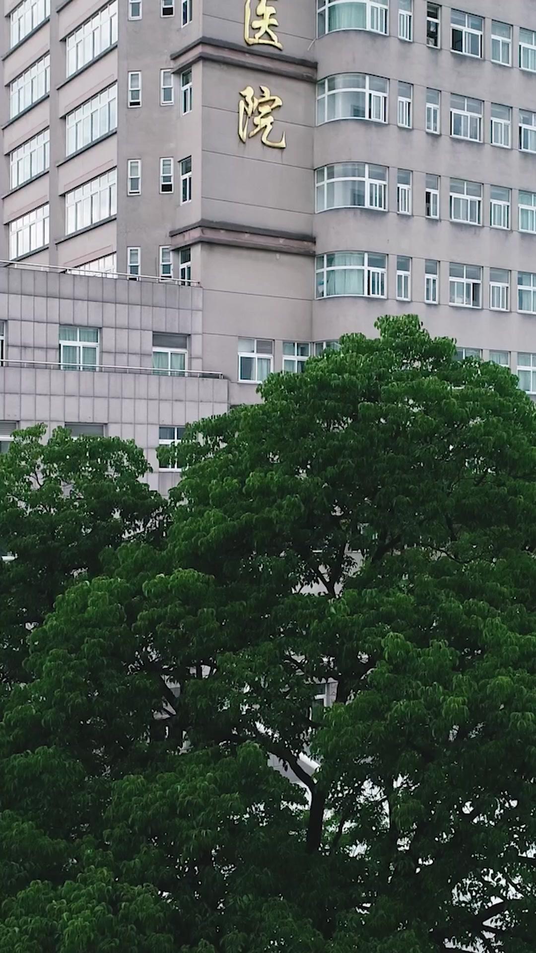 萌寶預知劇情後，全家逆襲殺瘋了