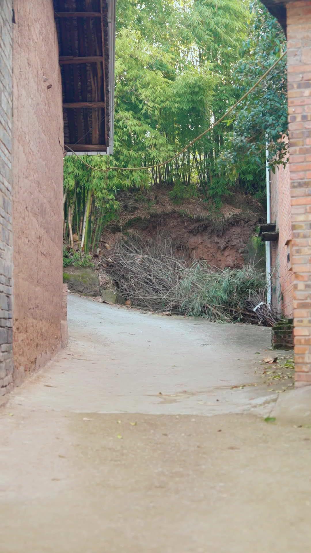 穿越成假千金，我創飛整個商界