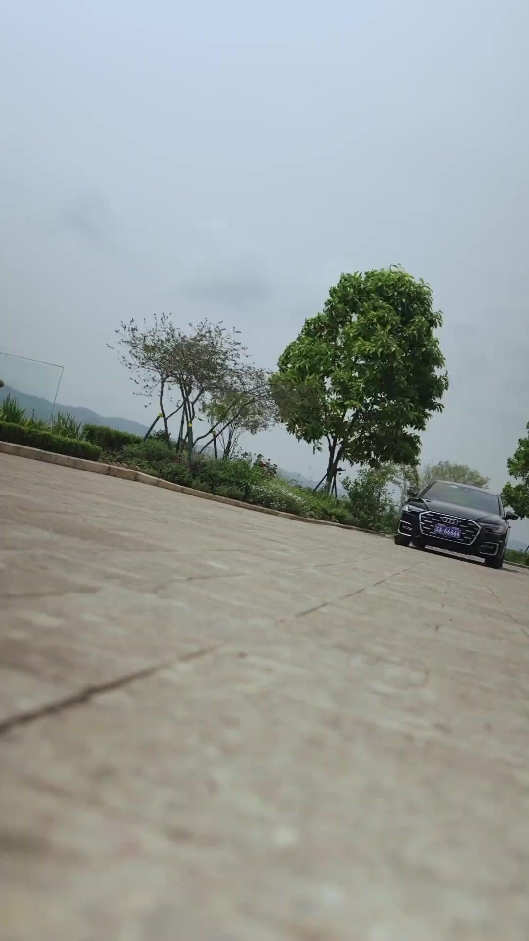 El engaño de Camila