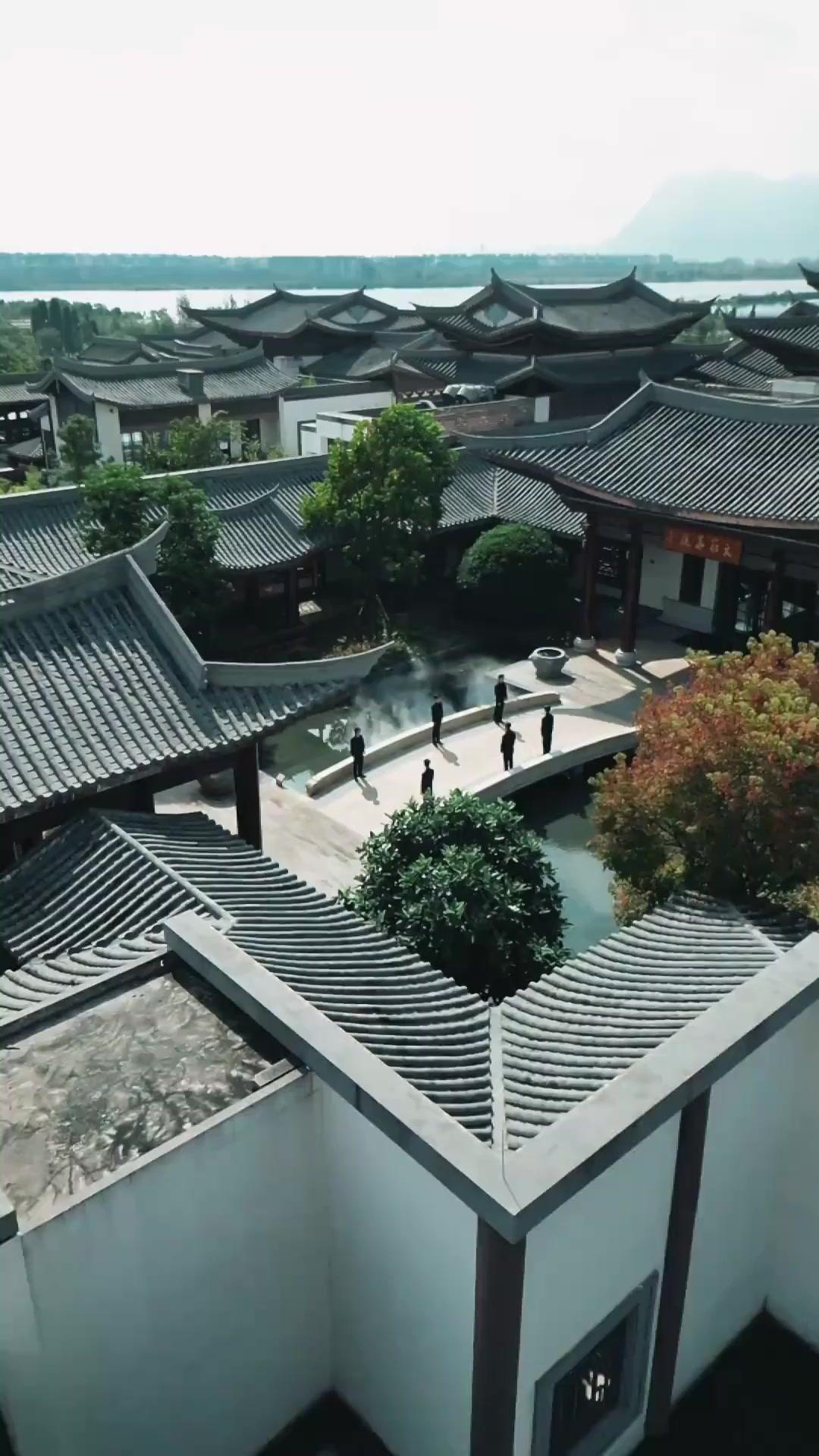 청월아, 우리 집에 가자