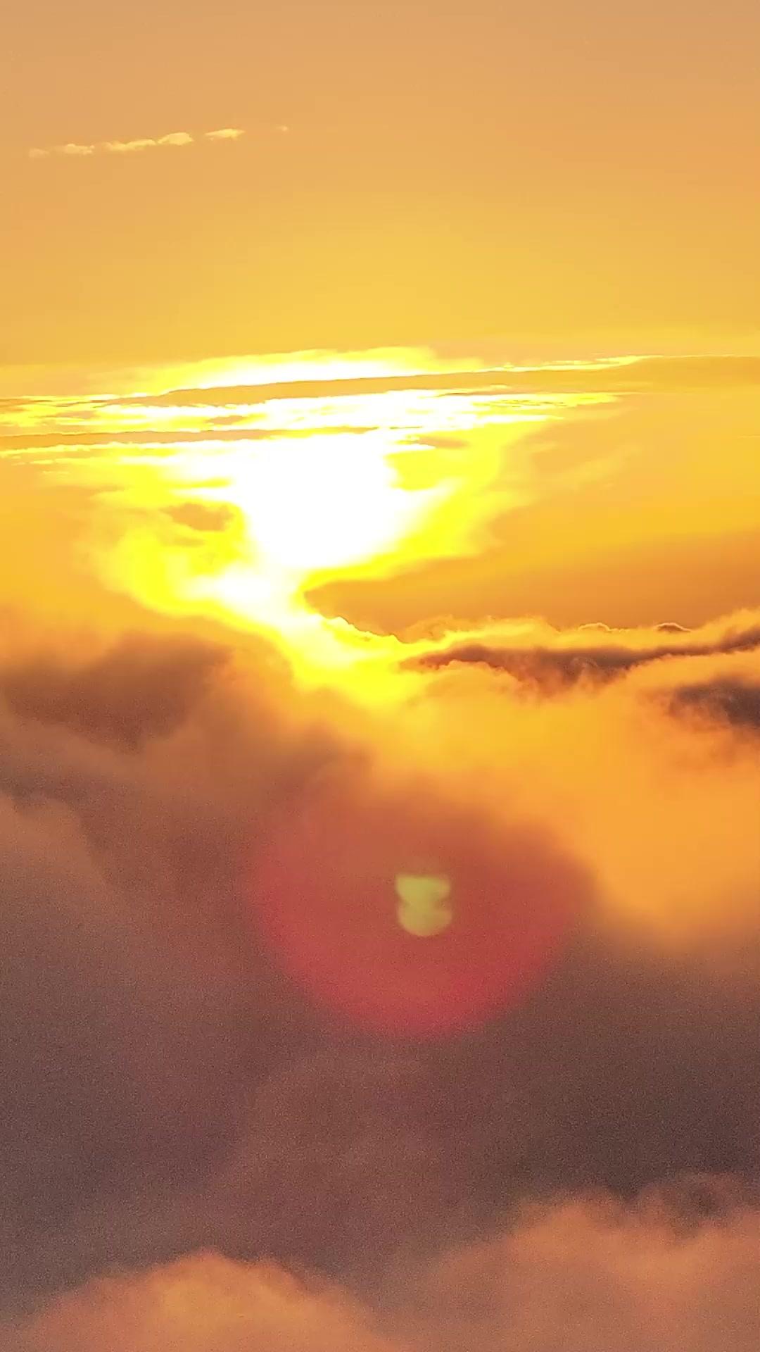 Bajo la máscara del inútil