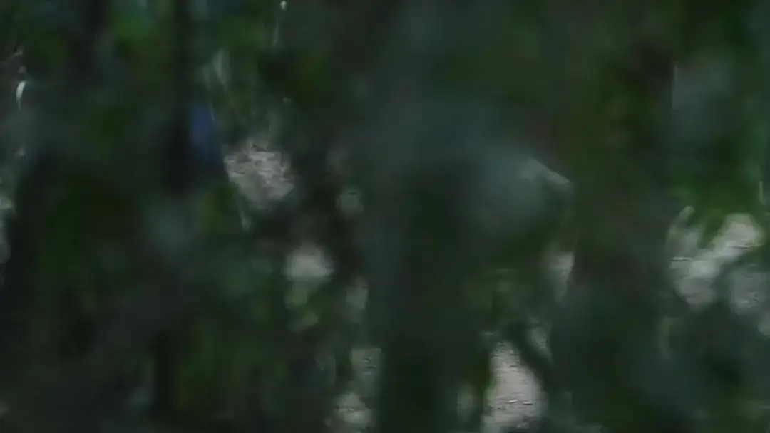 General Robin's Adventures: The Lantern That Lit a Lie