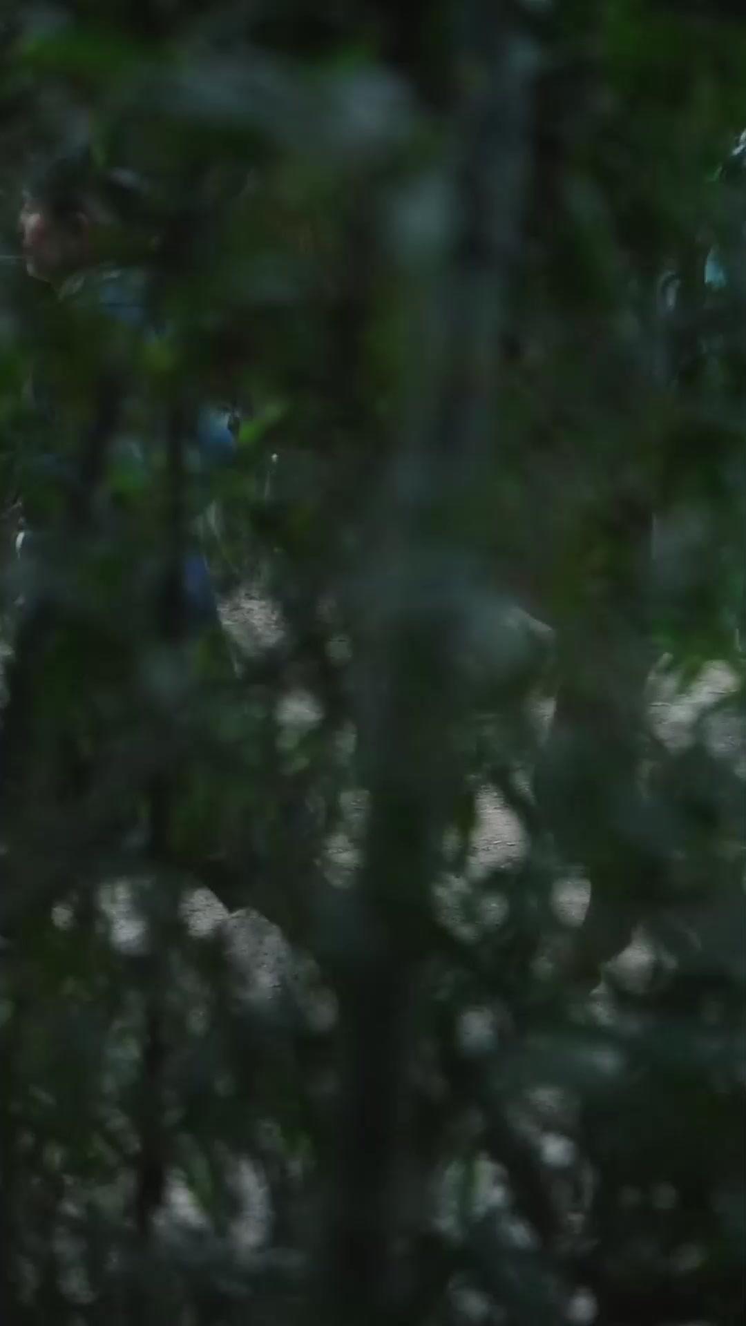  L'Eternità Nascosta