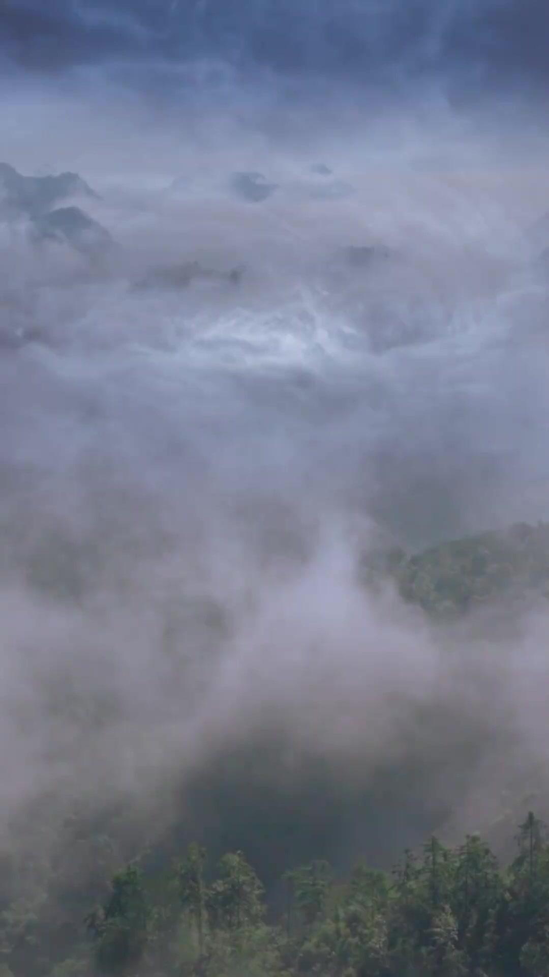 天命の裁き 揺らぐ王朝の運命