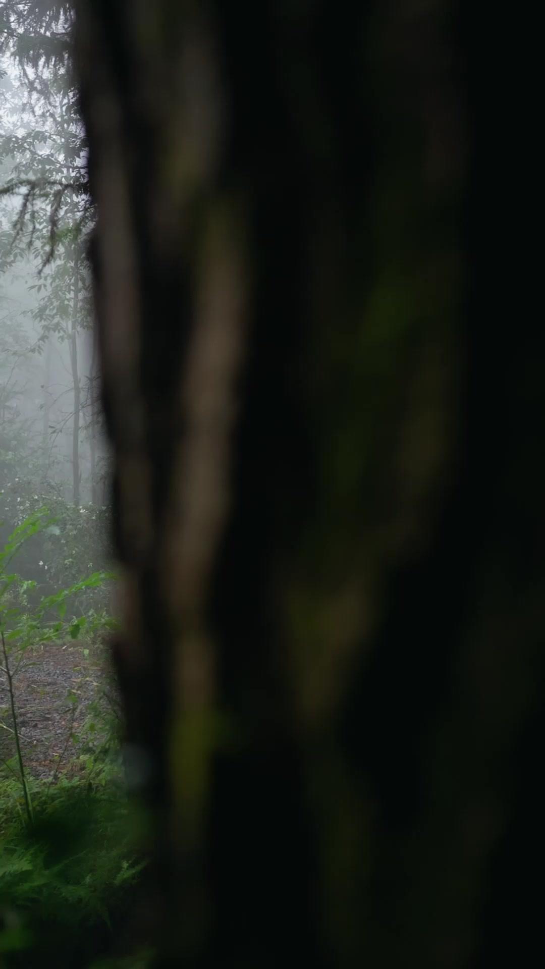 別笑老爹不簡單