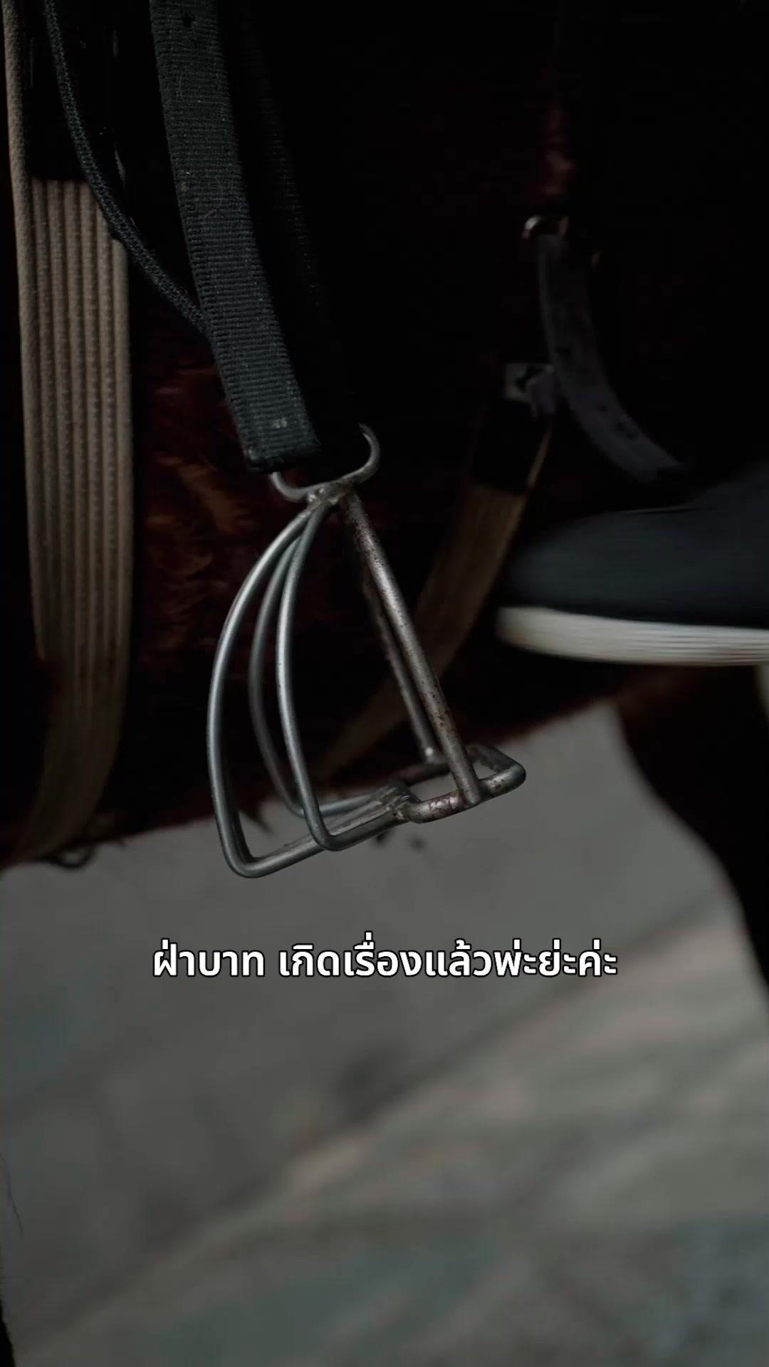 (พากย์เสียง)ชะตารักนางหงส์