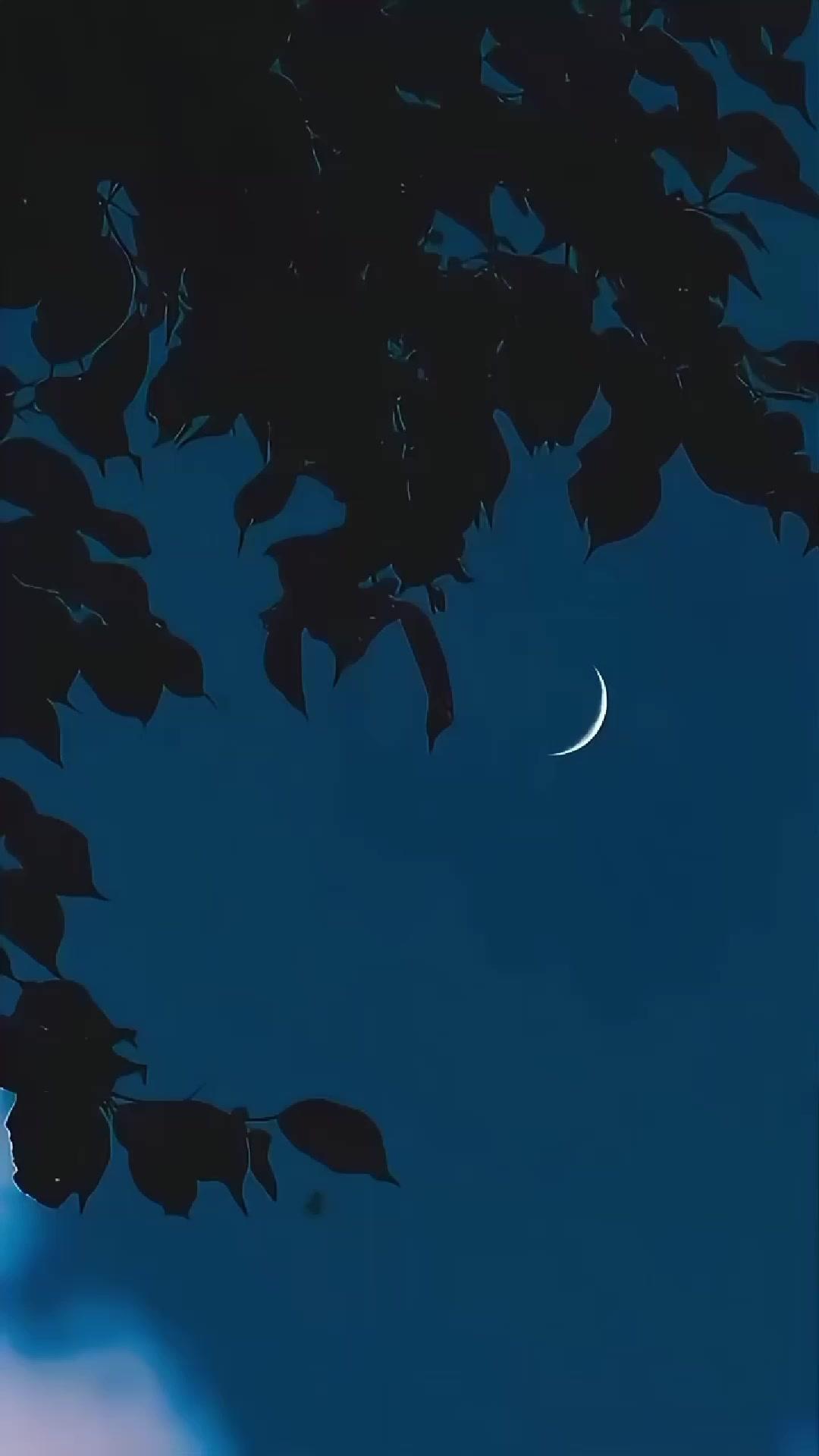 Hubby, Please Lift My Curse!