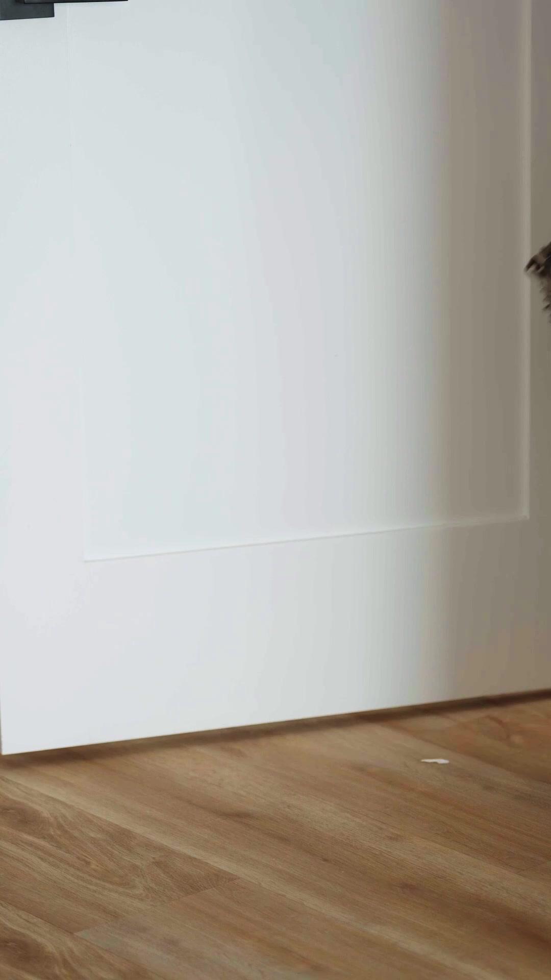  Love, Lies, and Christmas Surprise