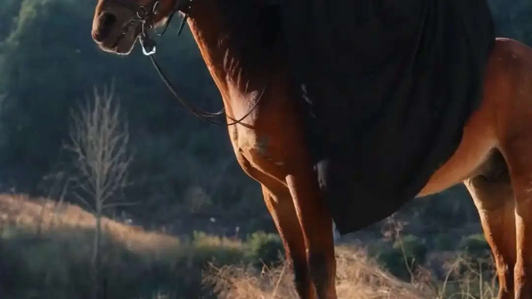 الشاب المُدلّل الأول في العالم الجزء الثاني: رحلة الفارس الأسود وسرّ الابتسامة الأخيرة