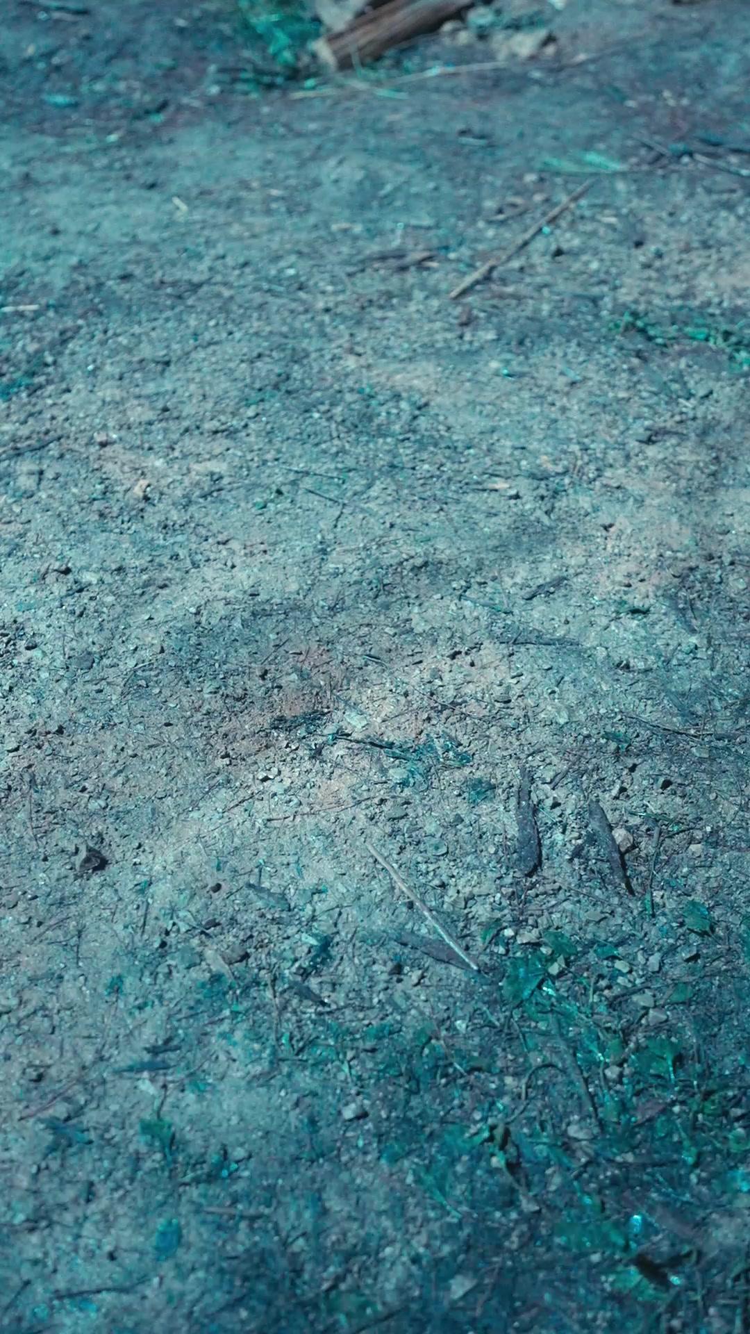  Malapetaka Lipan Raksasa