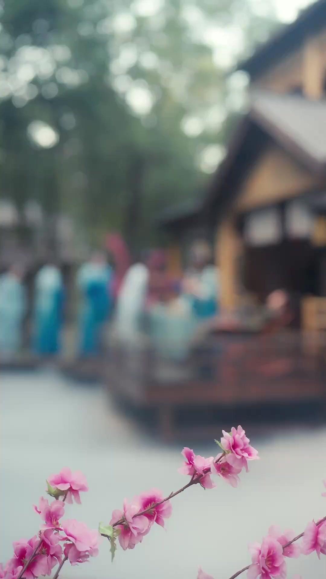 Ikatan Cantik, Kekuatan Abadi