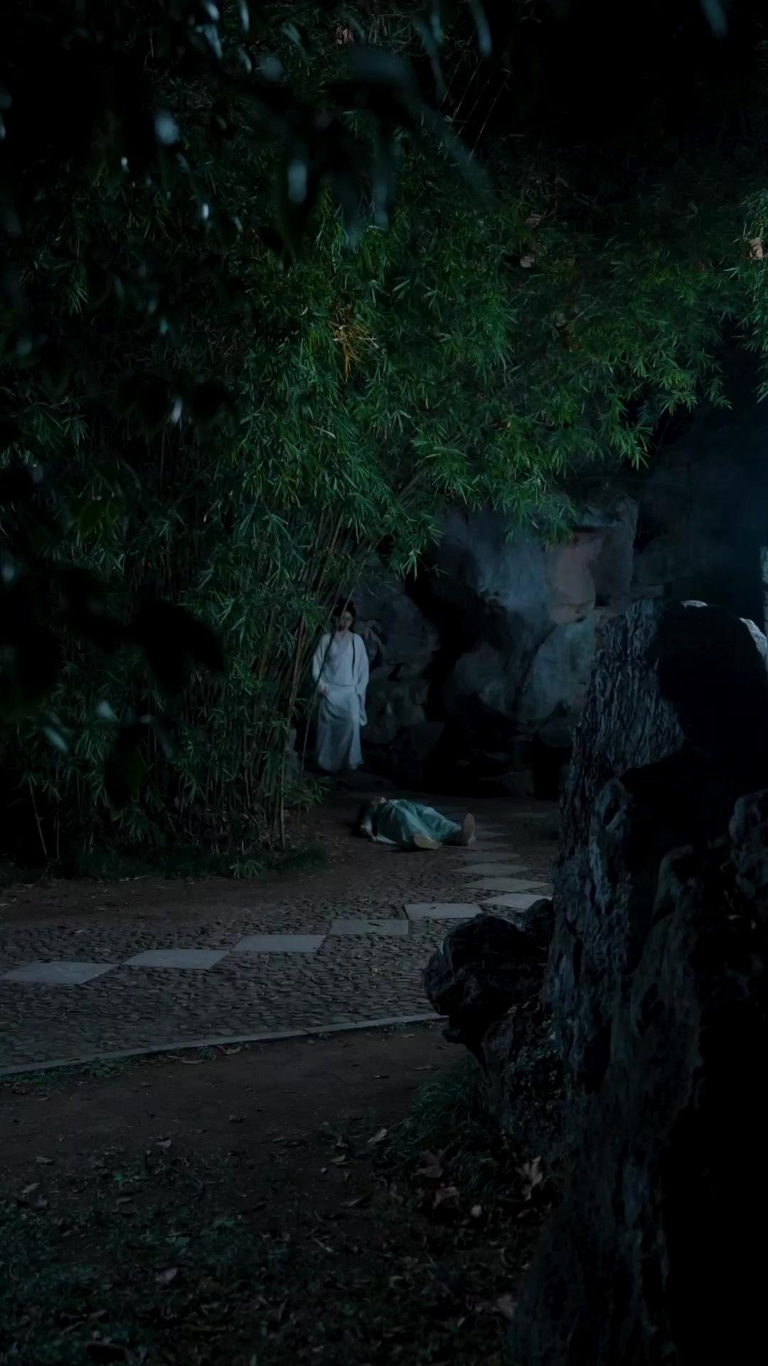 La Falsa Erede - Vendetta e Passione