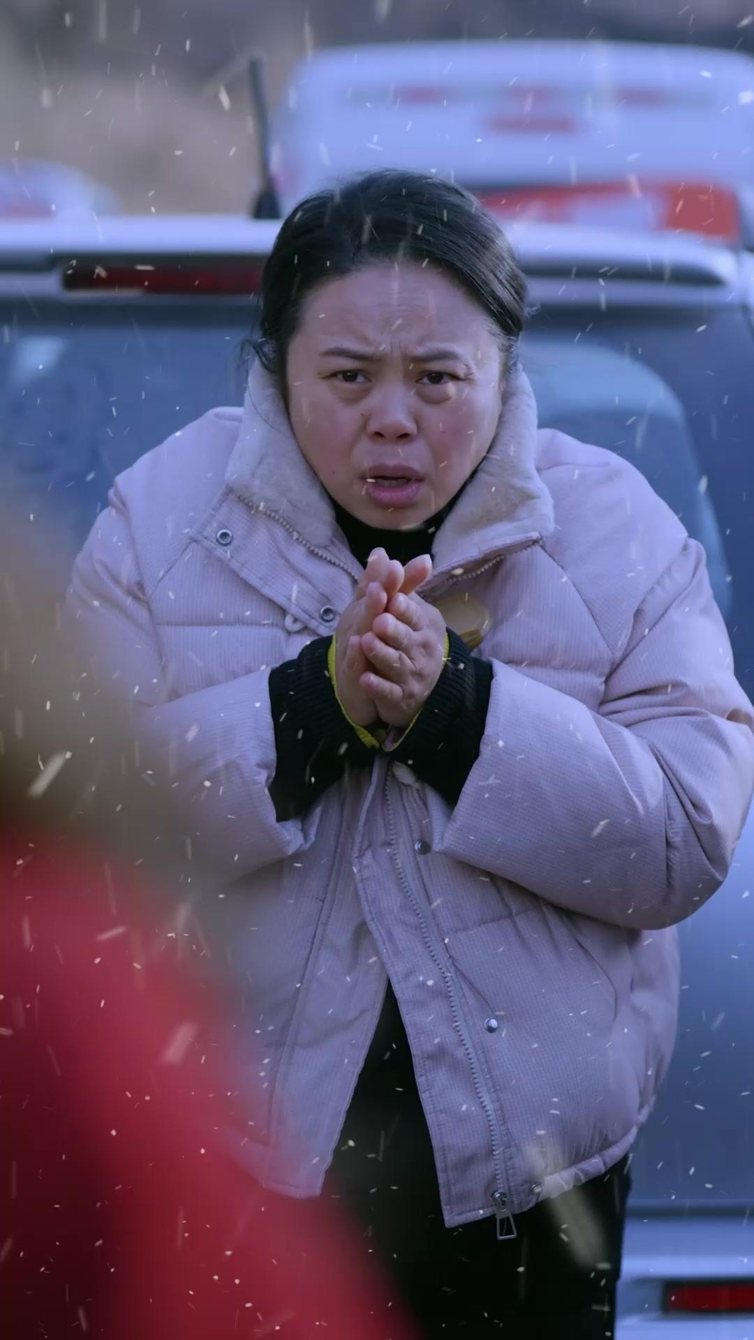 A Snowbound Journey Home