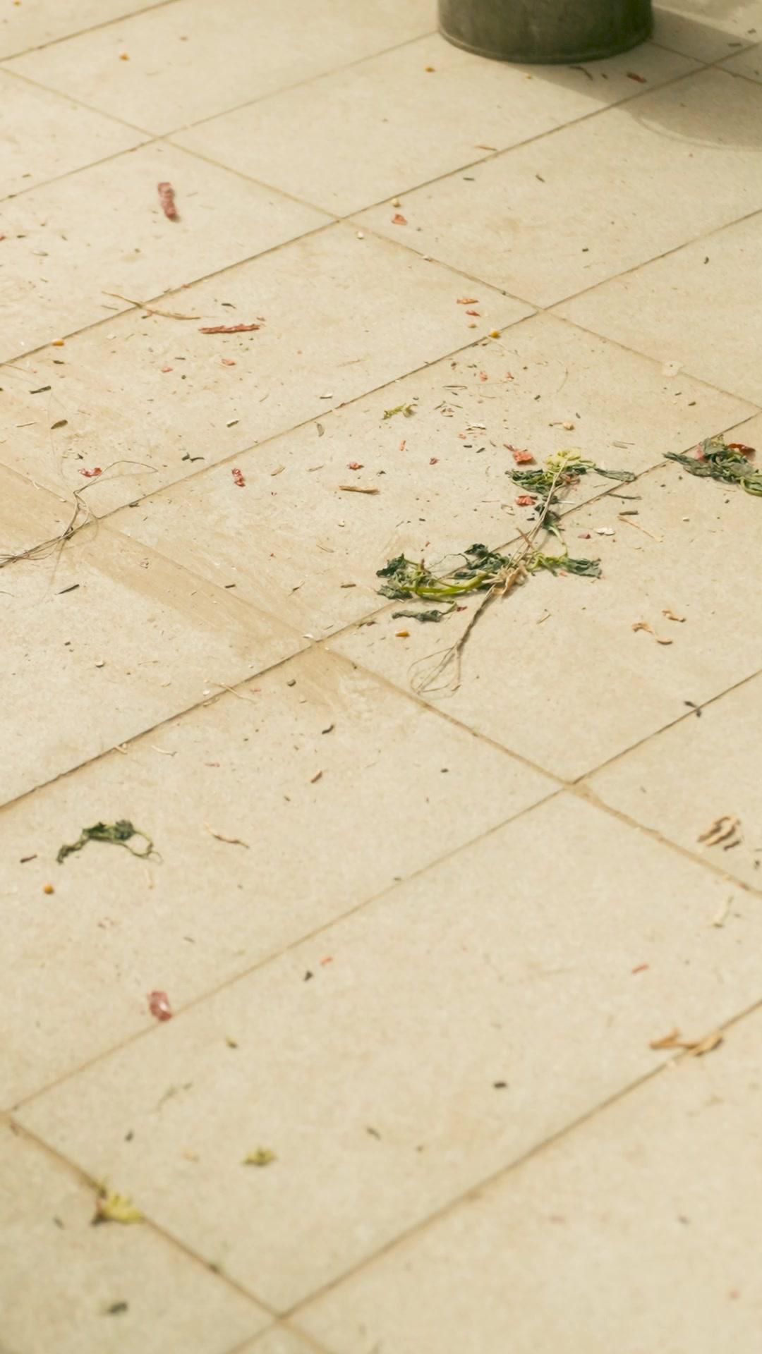 重生七零肥婆要翻身