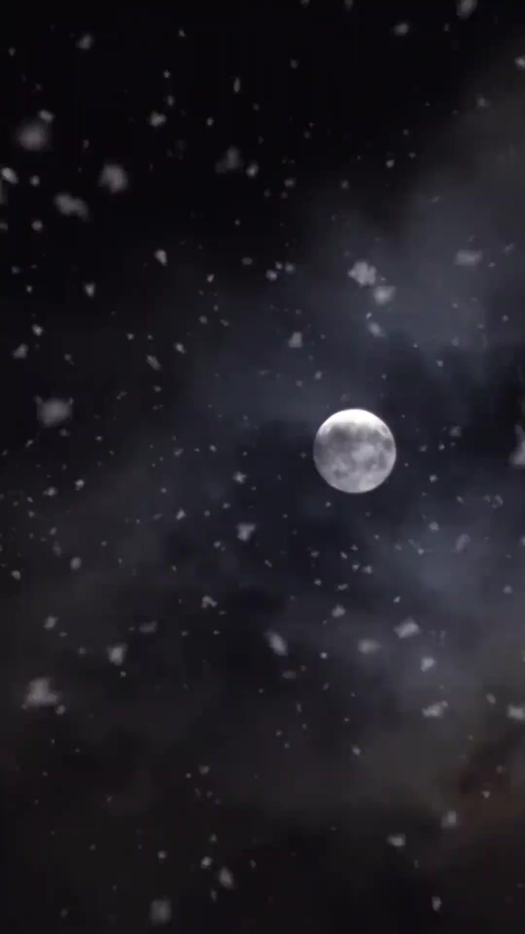 كما يمضي النهر  يمضي الحبيب