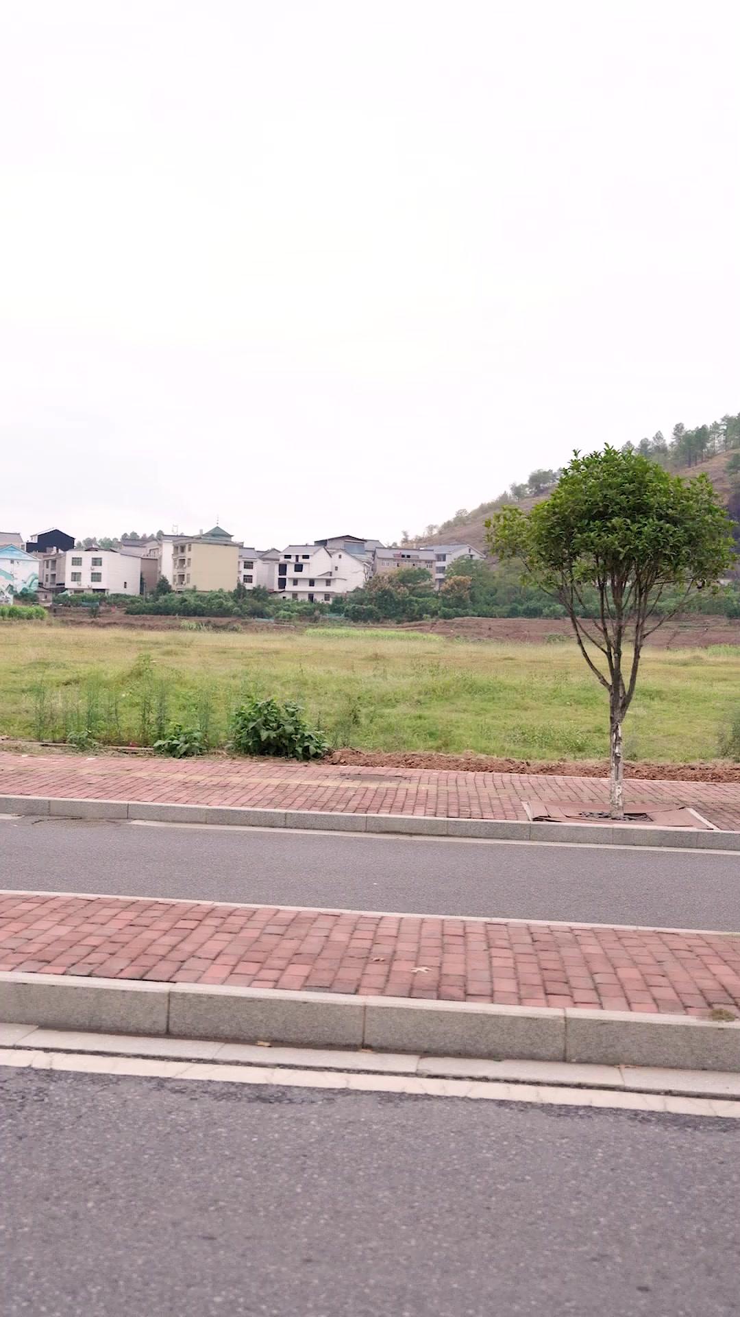 我們聯手逃避的婚約，是彼此