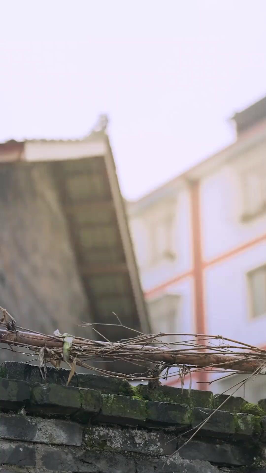 UNE SECONDE CHANCE POUR LE BONHEUR