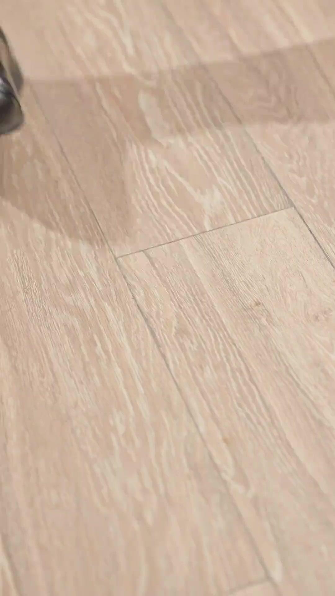 O Meu Pai é um Lobisomem?!