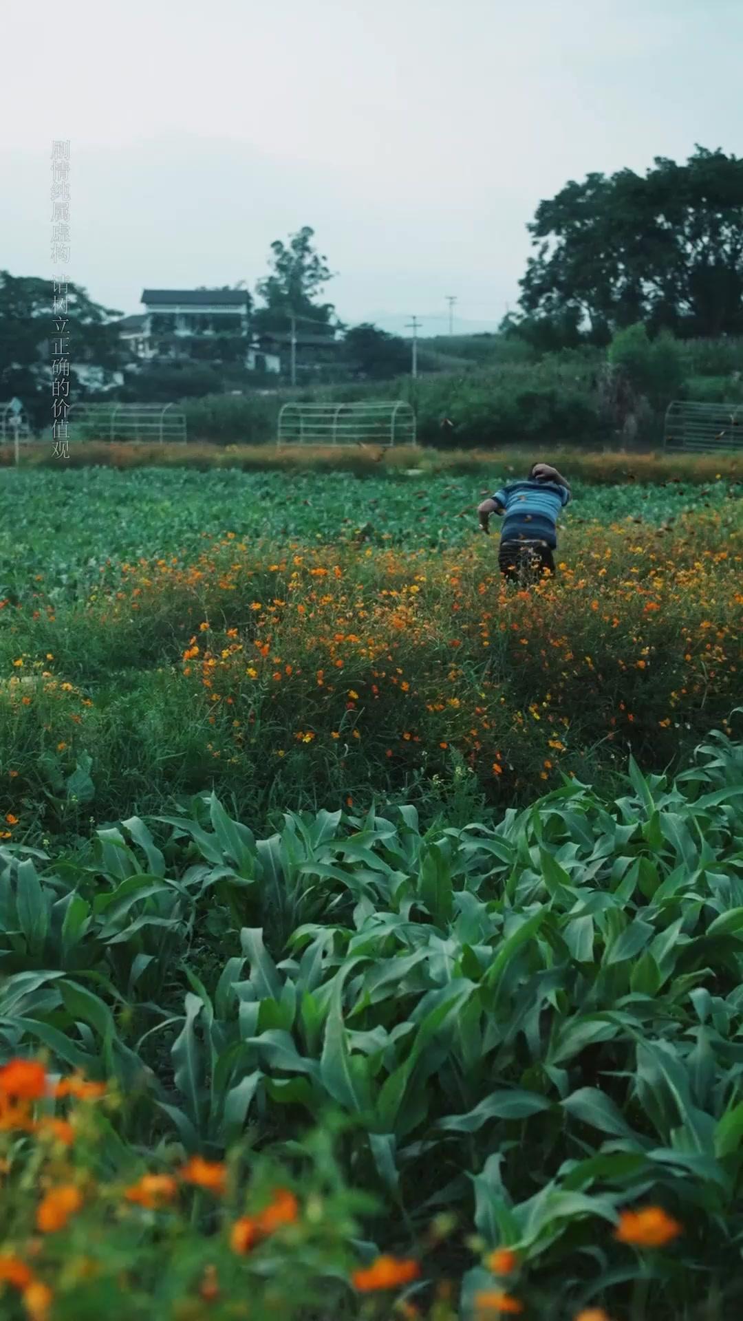 Domando al Rey del Caos