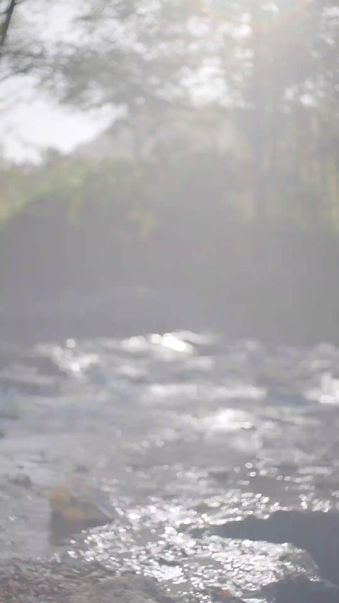 RENDEZ-VOUS PRÉMÉDITÉ