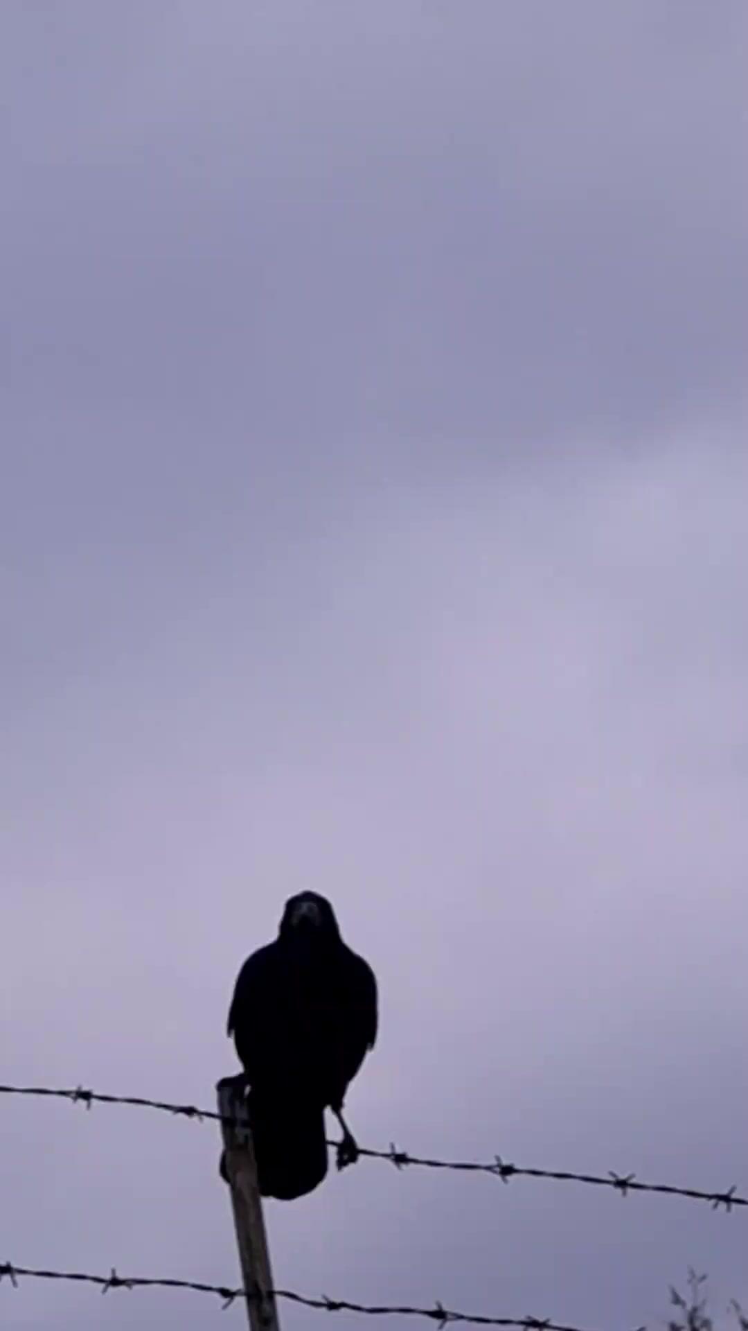 L'amore trova sempre il suo modo