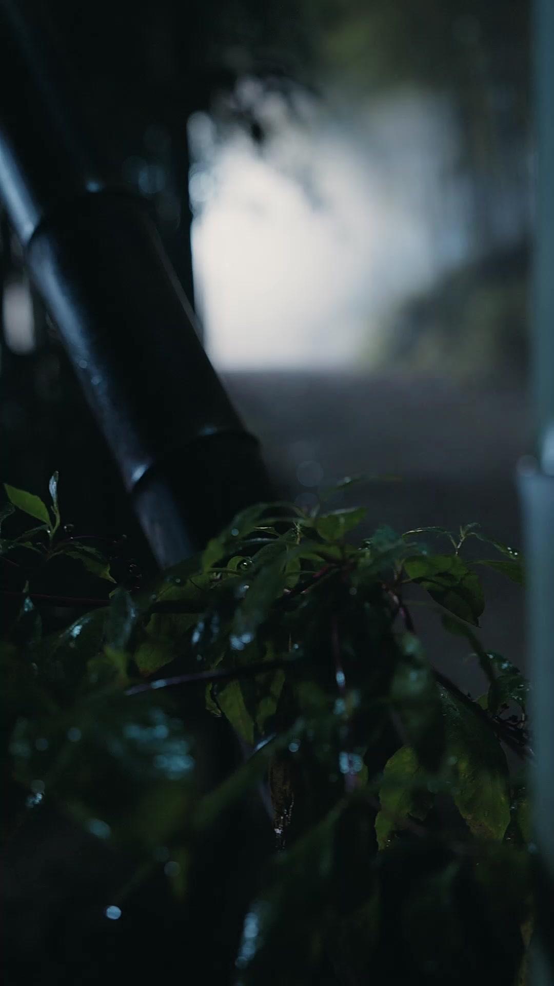 La princesa no perdona