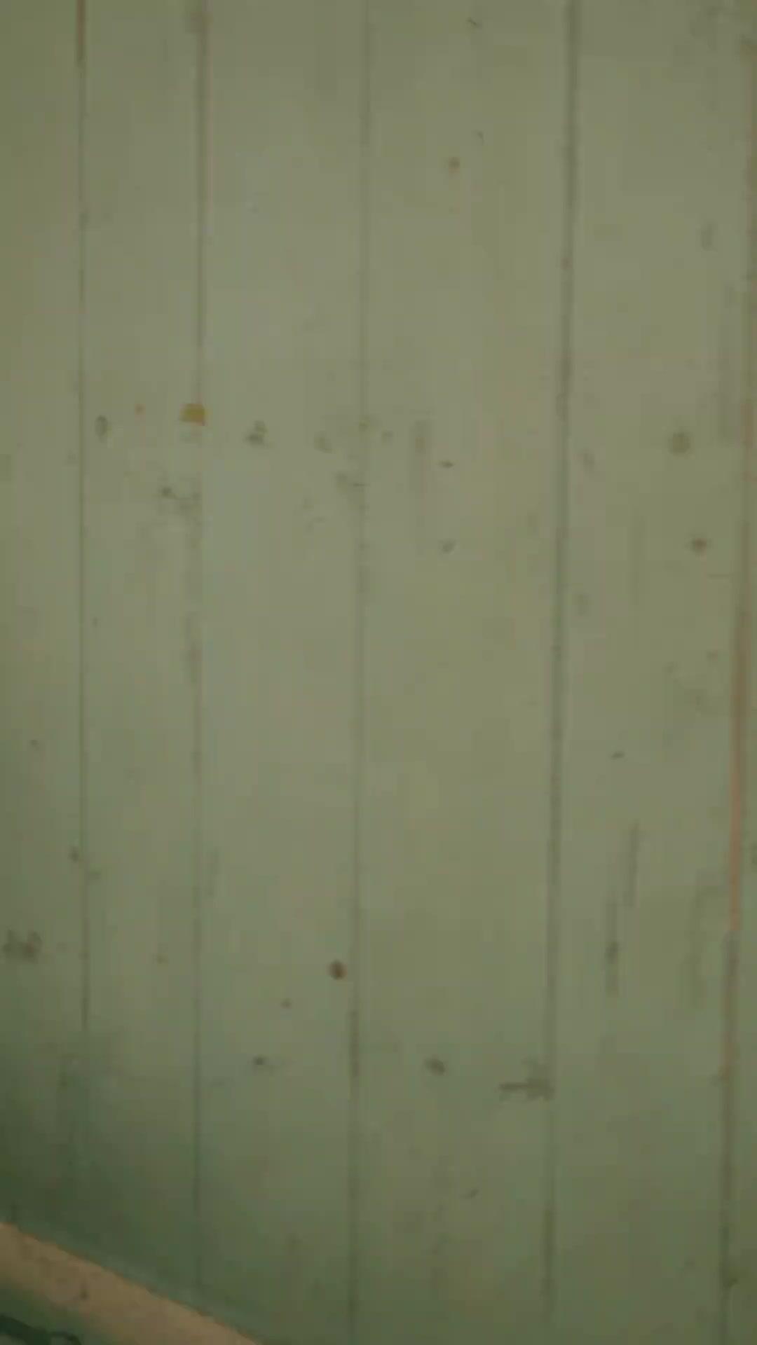 Reinkarnasi, Aku Rebut Suaminya