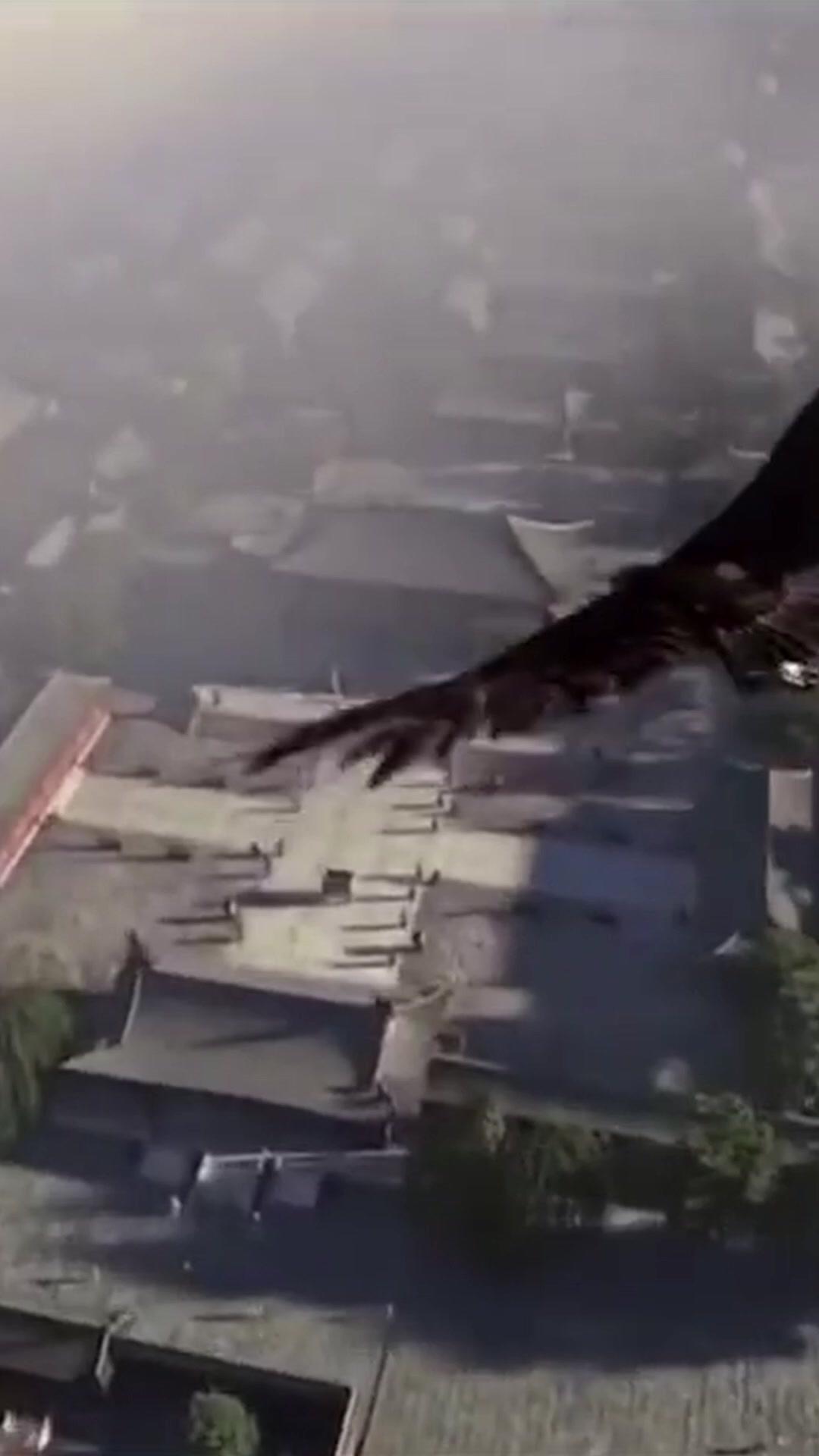 Regina Rinata: Fiamma della Vendetta