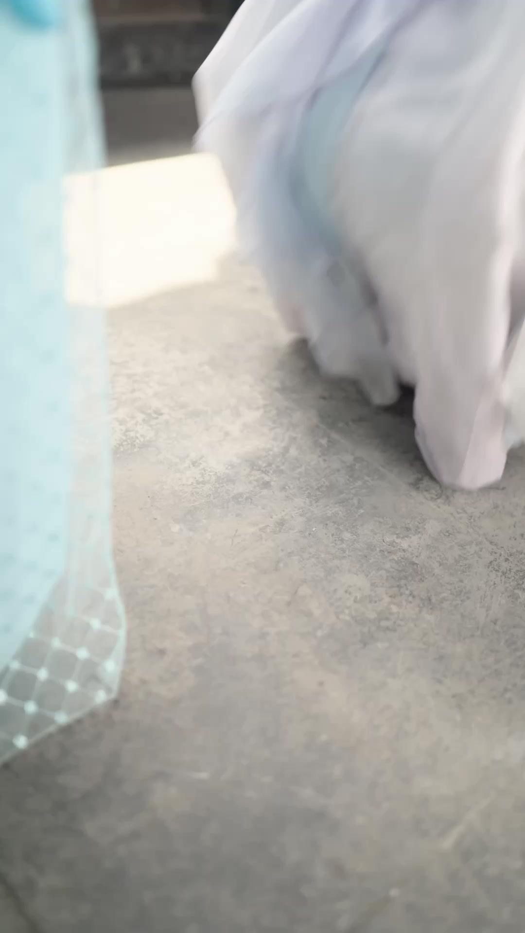 How to Seduce the Prince as a Singing-Girl