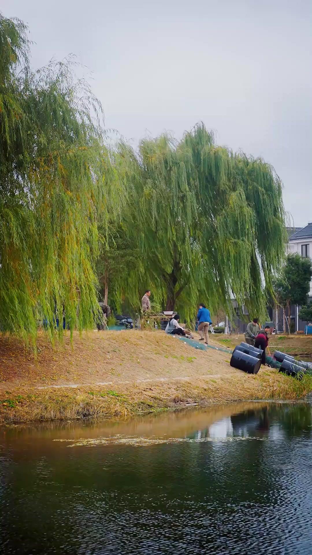 天から舞い降りた福の神