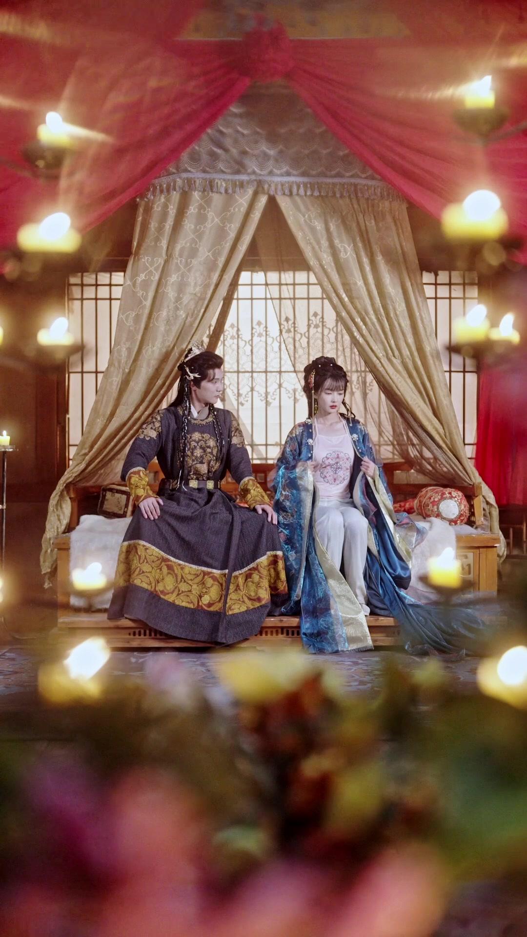 孤雁向南飛