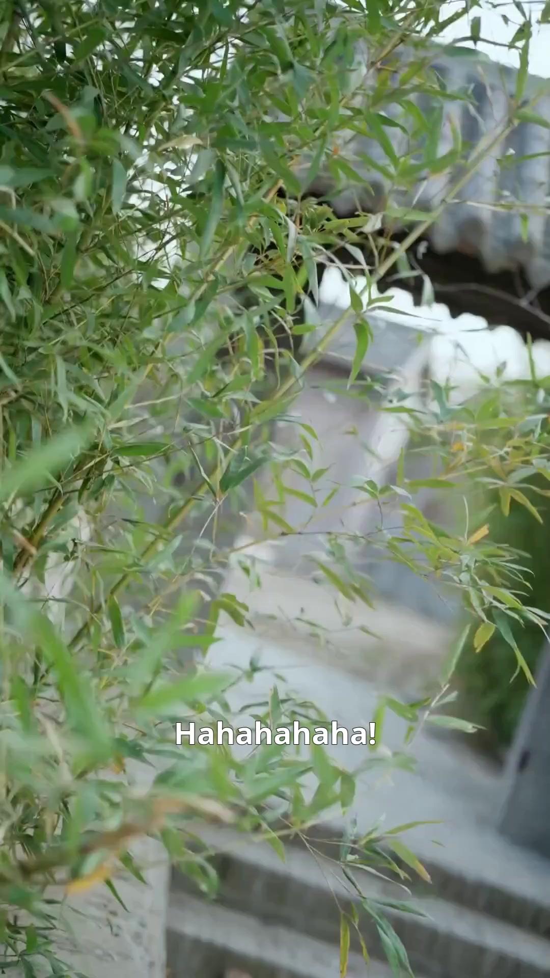 (Dubbed) From Zero to Sword God