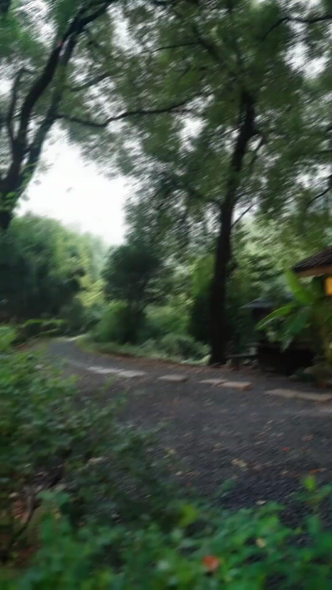 نزلتُ الجبل.. وأصبحتُ سيد المدينة