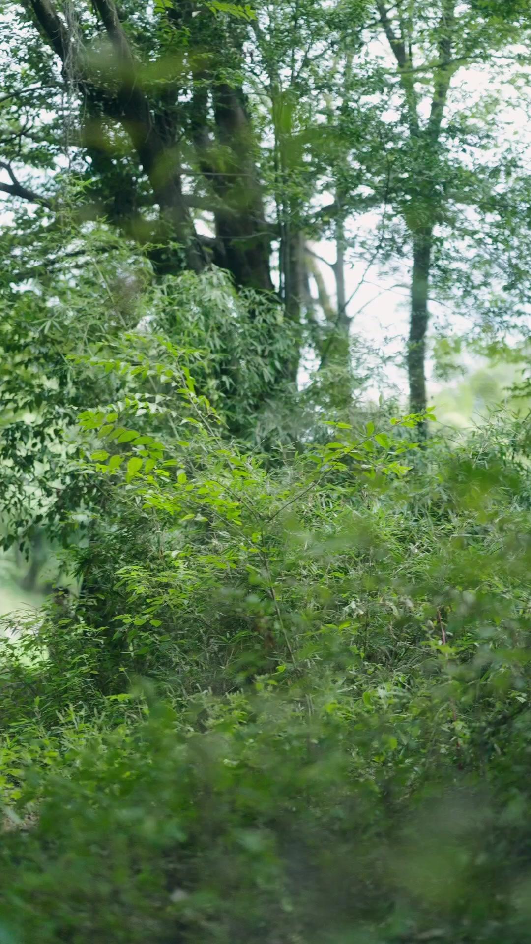 Sang Peramal di Tengah Kelaparan