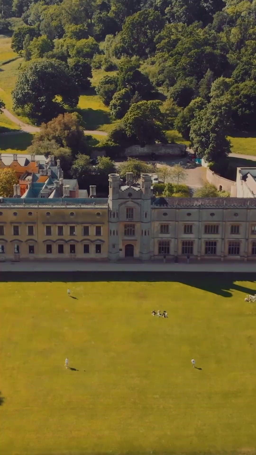 (Dublagem)Daisy na Câmara da Arma