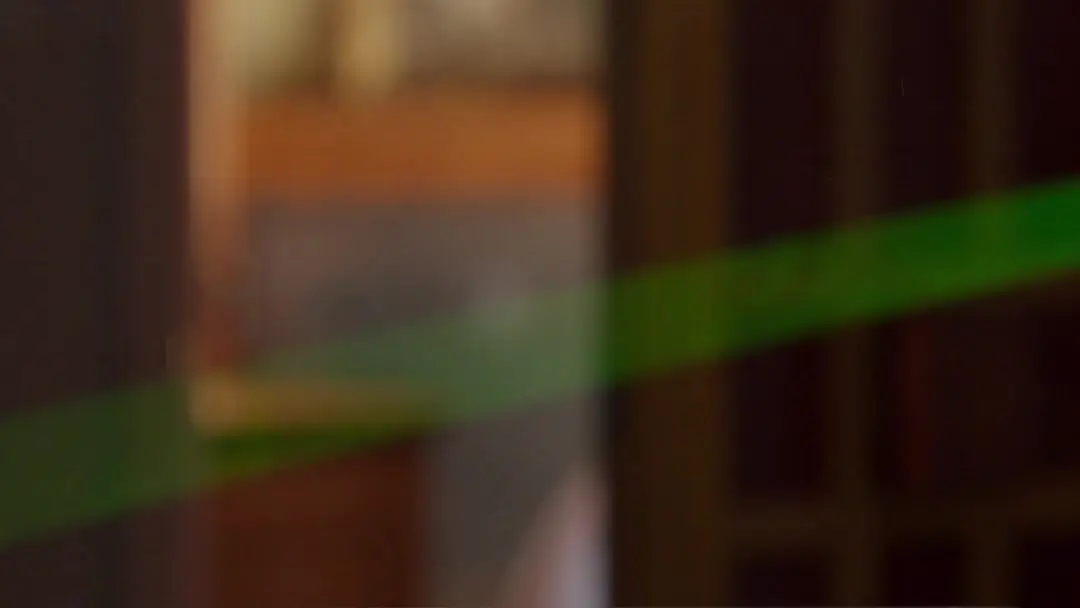 The Real Heist Was Her Eyebrows