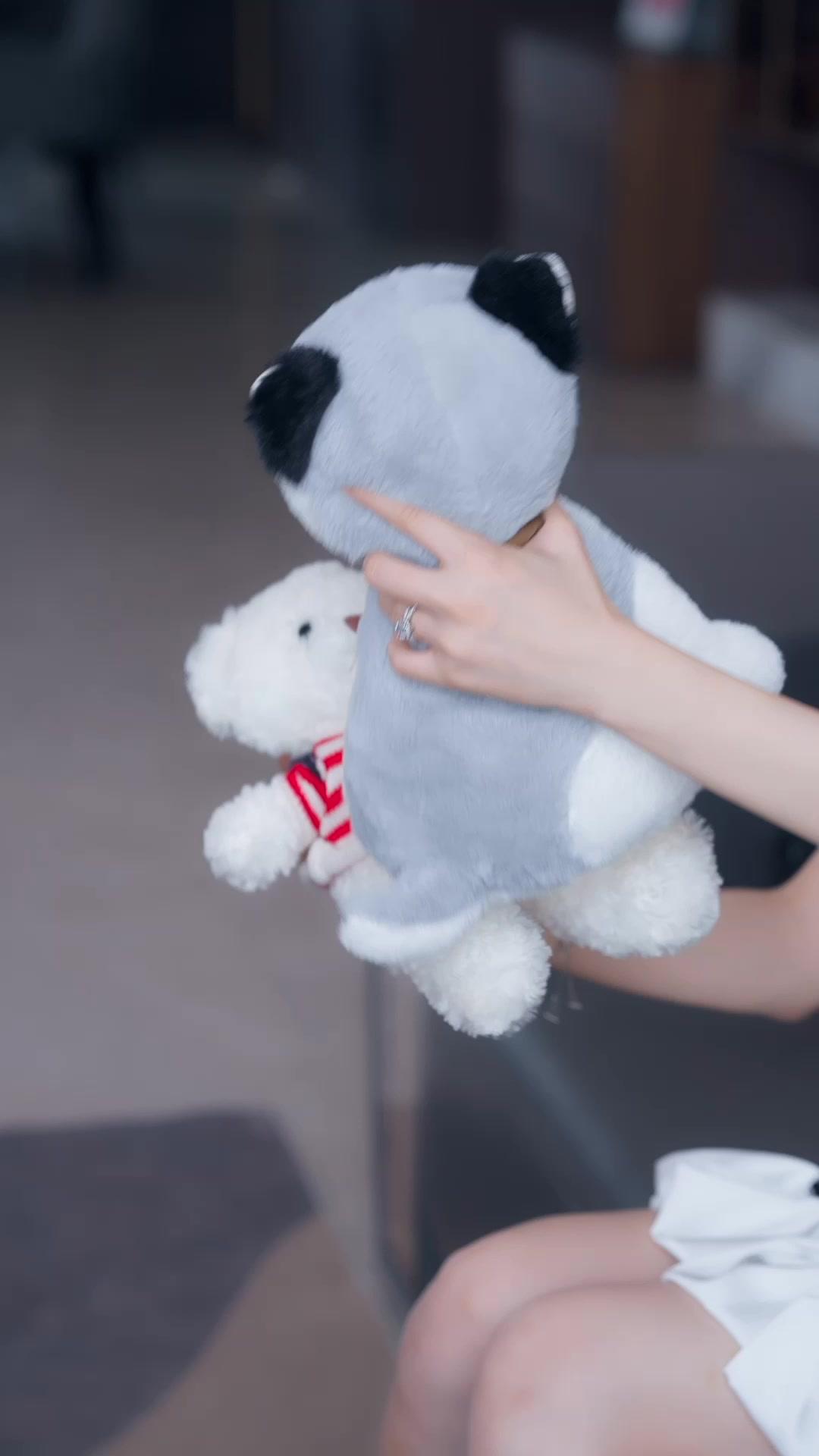 Domesticando a Meiguinha