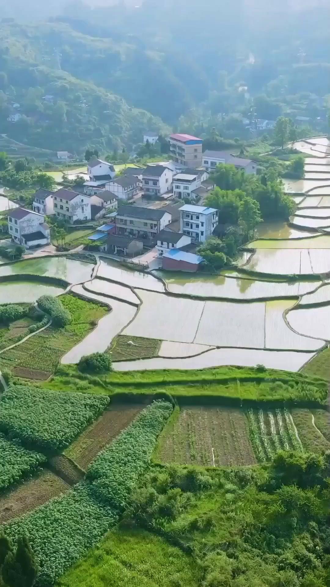 (Dubbed)Veggie Husby Woke Up A Billionaire