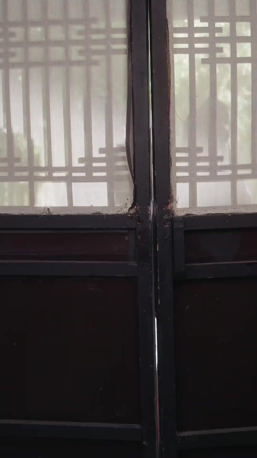 سيد الزيجات